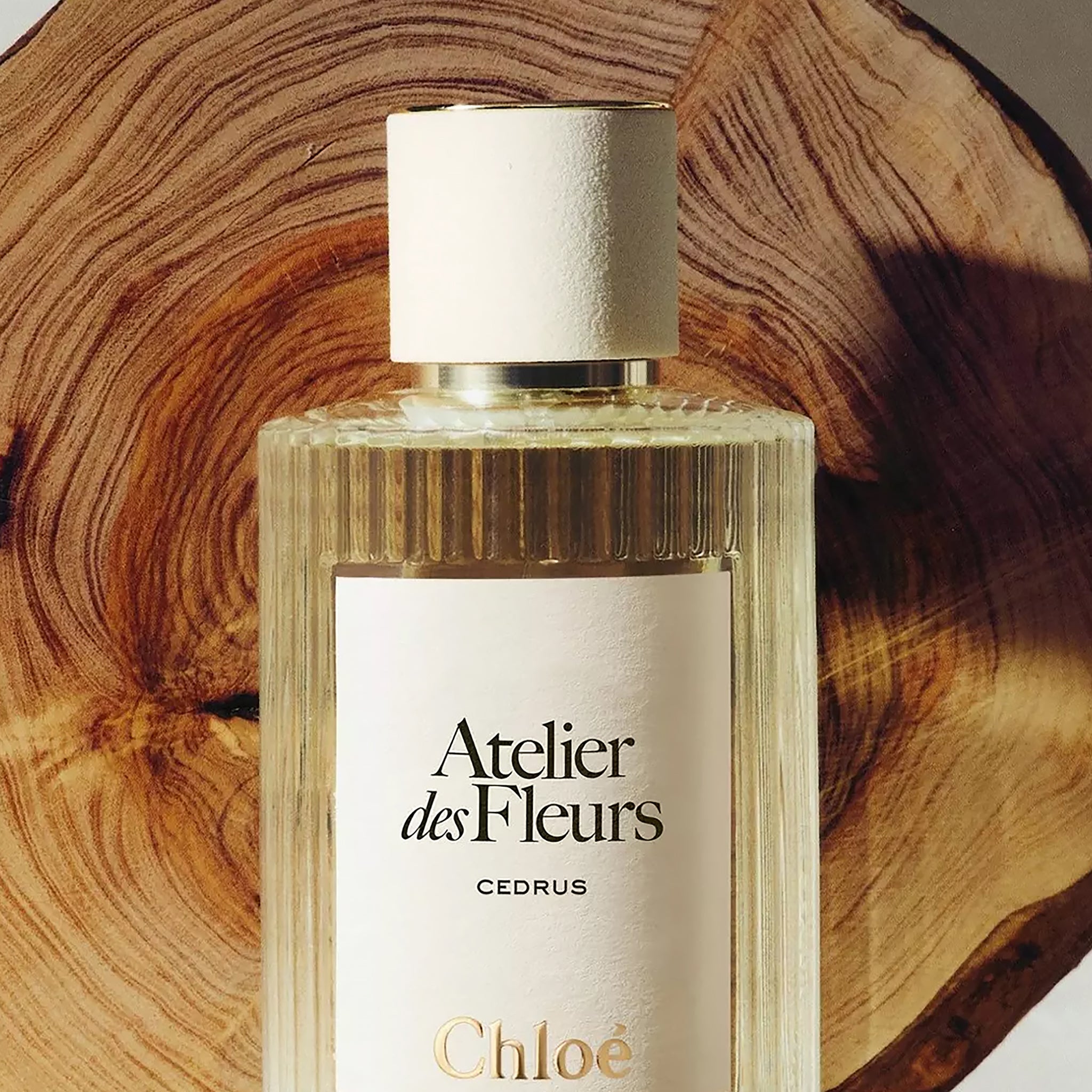 大人気新作 CHLOE Cedrus BAR PERFUME DECANT – EDP 香水(女性用)