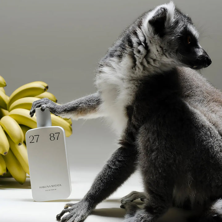 27 87 Hakuna Matata EDP