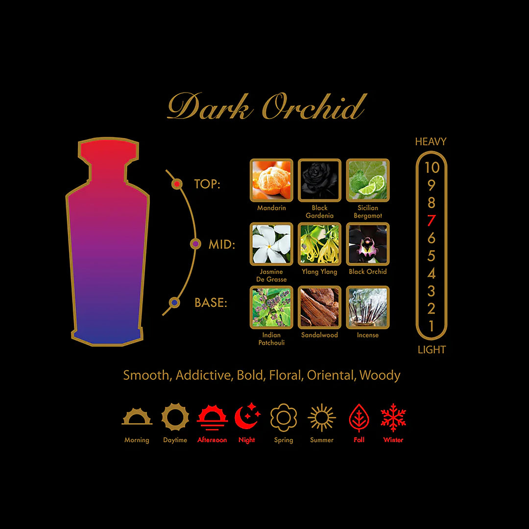 AMOUROUD Dark Orchid EDP