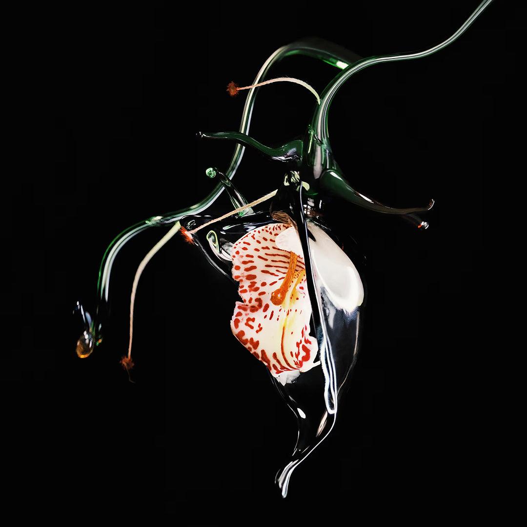 BYREDO Gypsy Water Absolu de Parfum Eau de Parfum