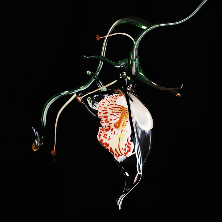 BYREDO Gypsy Water Absolu de Parfum Eau de Parfum