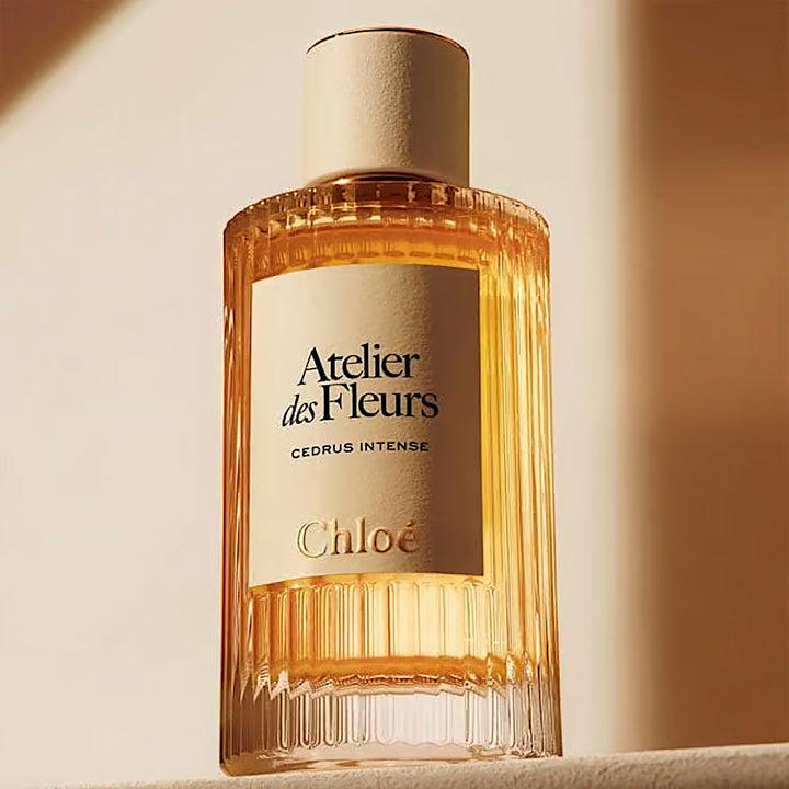 CHLOE Cedrus Intense EDP