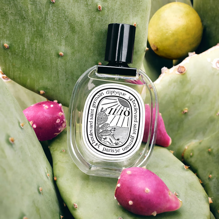DIPTYQUE Ilio EDT Limited Edition 2025