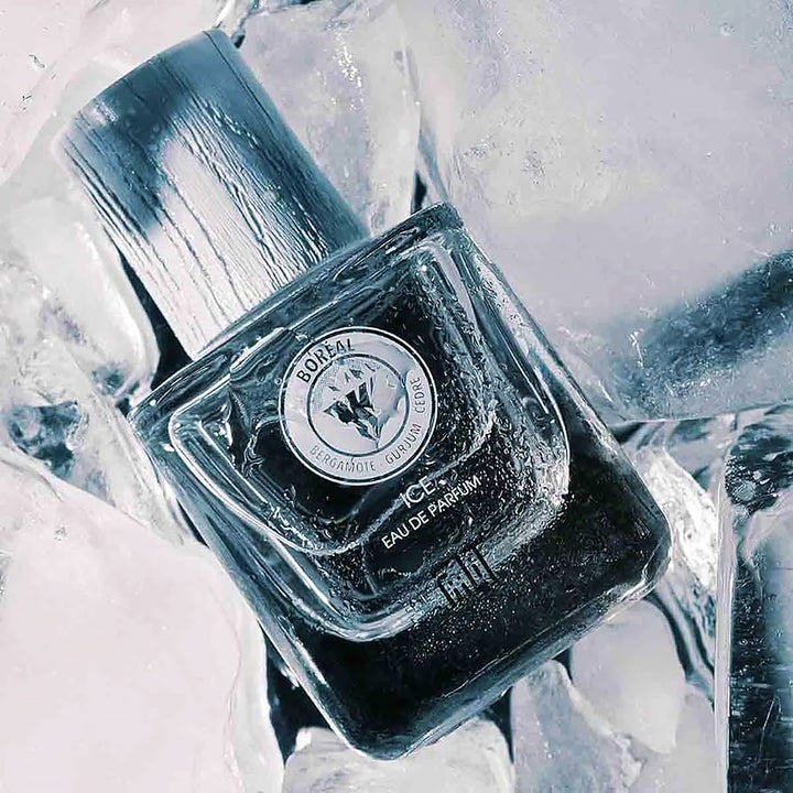 FIILIT Ice - Boreal EDP