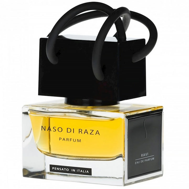 NASO DI RAZA Ravi EDP