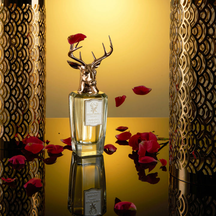 PANA DORA Dorasima EDP