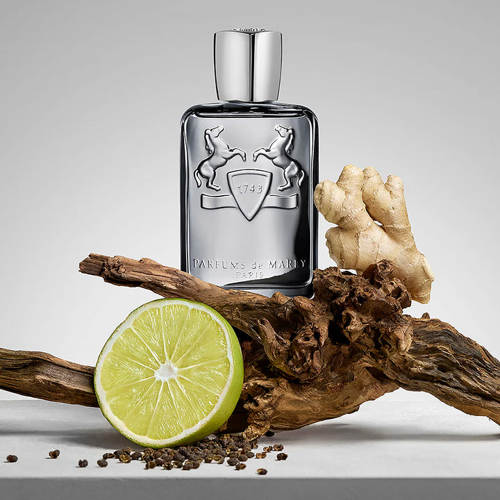 PARFUMS DE MARLY Castley EDP