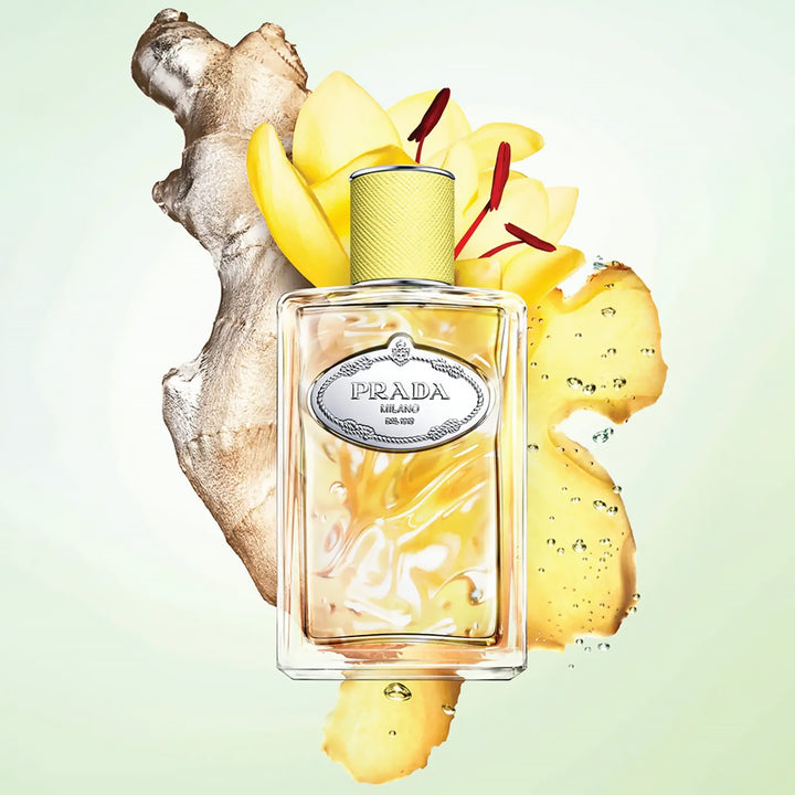 PRADA Infusion De Gingembre EDP