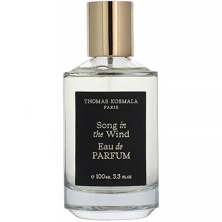 THOMAS KOSMALA Song In The Wind EDP