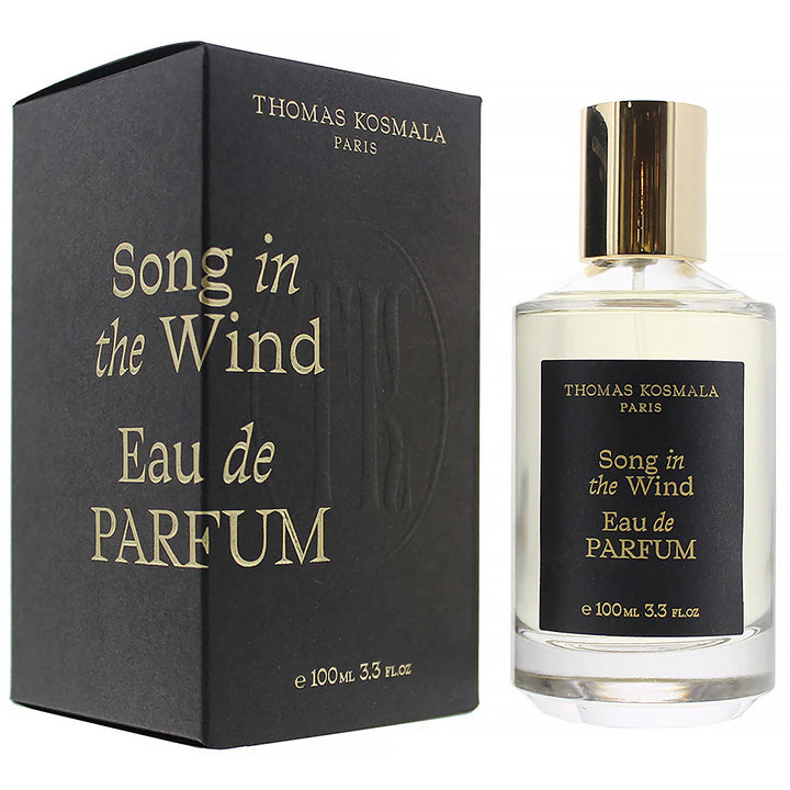 THOMAS KOSMALA Song In The Wind EDP