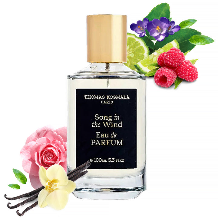 THOMAS KOSMALA Song In The Wind EDP