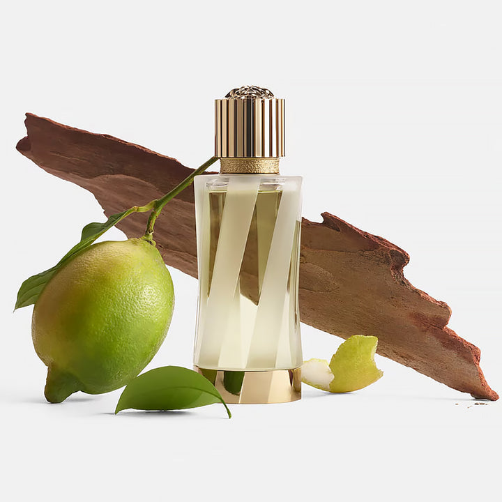 VERSACE Cedrat De Diamante EDP