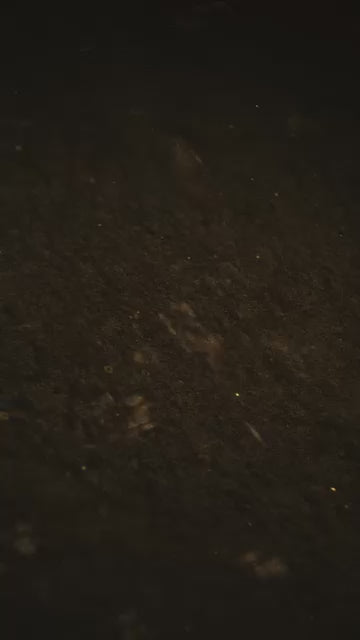 TOMAVICCI Xanat Extrait De Parfum